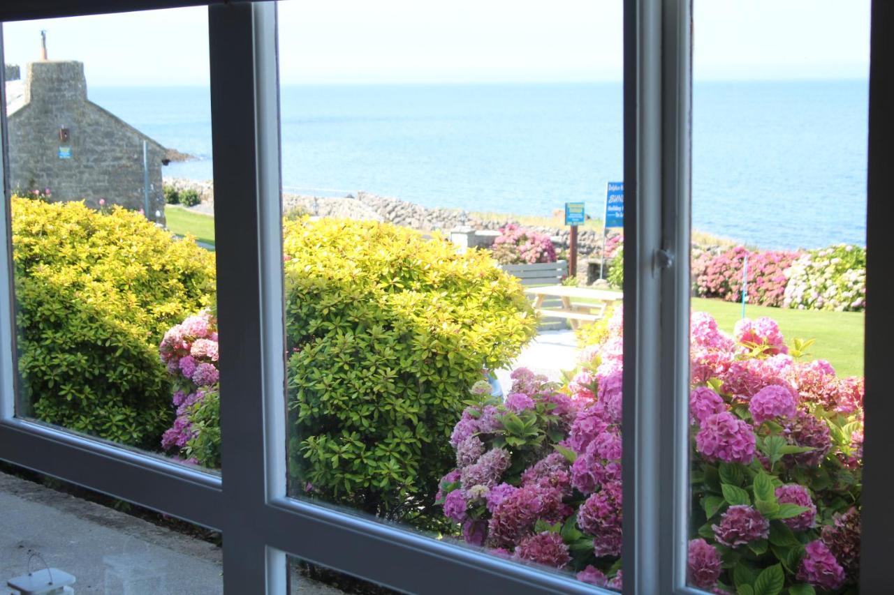 Dolphin Watch Wild Atlantic Way Βίλα Fanore Εξωτερικό φωτογραφία