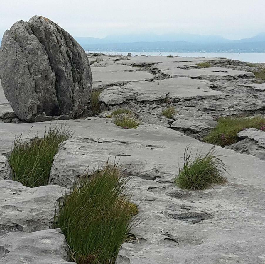Dolphin Watch Wild Atlantic Way Βίλα Fanore Εξωτερικό φωτογραφία